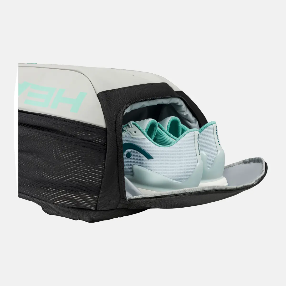 https://i.ibb.co/6RvKHpvk/bv.webp