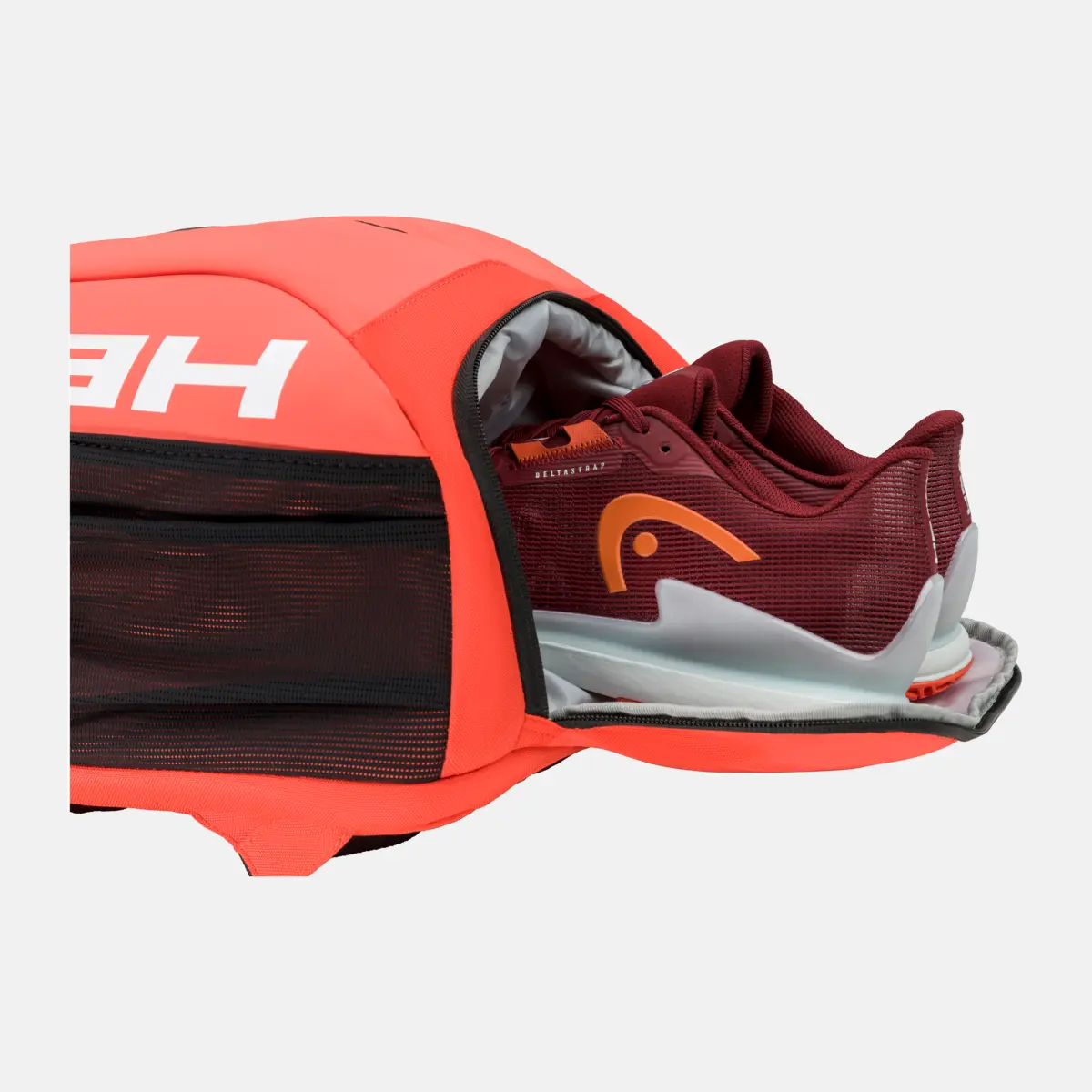 https://i.ibb.co/zH79dqWM/nb.webp