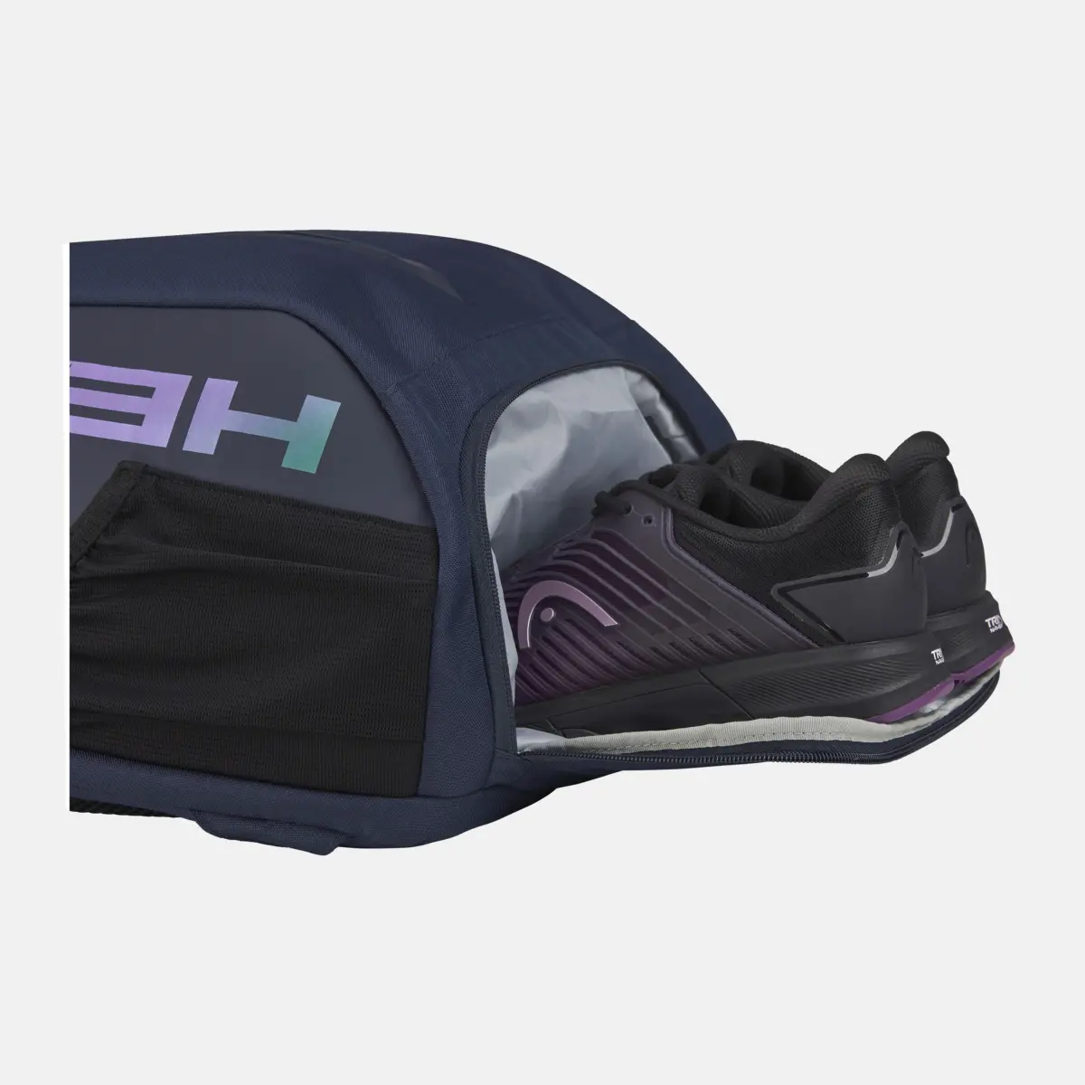 https://i.ibb.co/ycpqR1Xx/b.webp