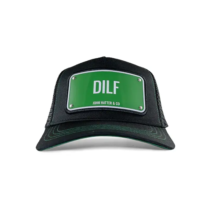 dilf1.webp