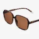 Pascal_TortoiseSun_05_2048x.webp