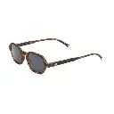 [5060939560414] Barner Sodermalm Sun - Tortoise.webp