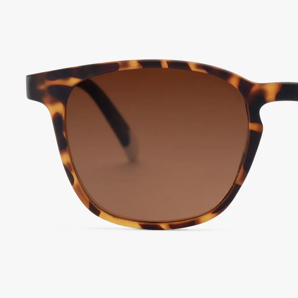 04-Dalston-Tortoise-Frame-1_2048x.webp