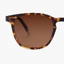 04-Dalston-Tortoise-Frame-1_2048x.webp