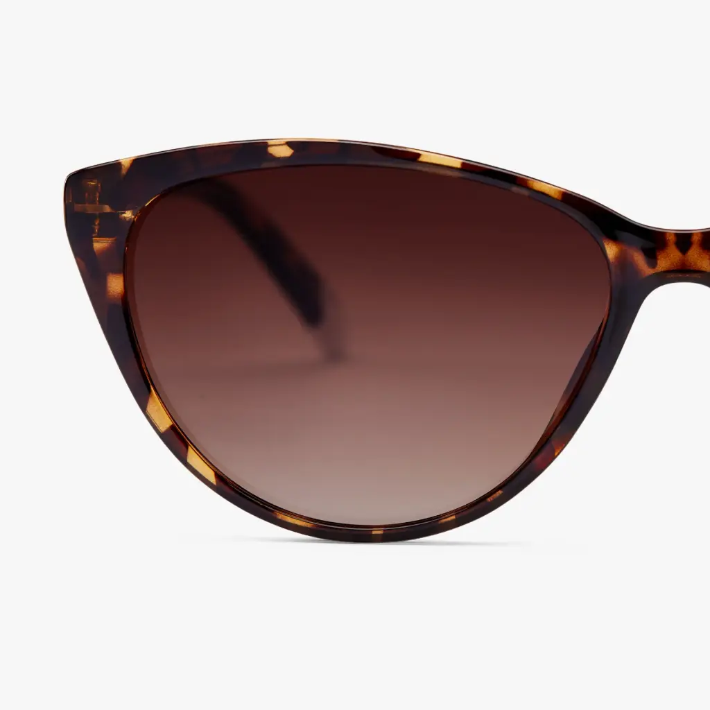 04-AstoriaSun-Tortoise-Frame_2048x.webp