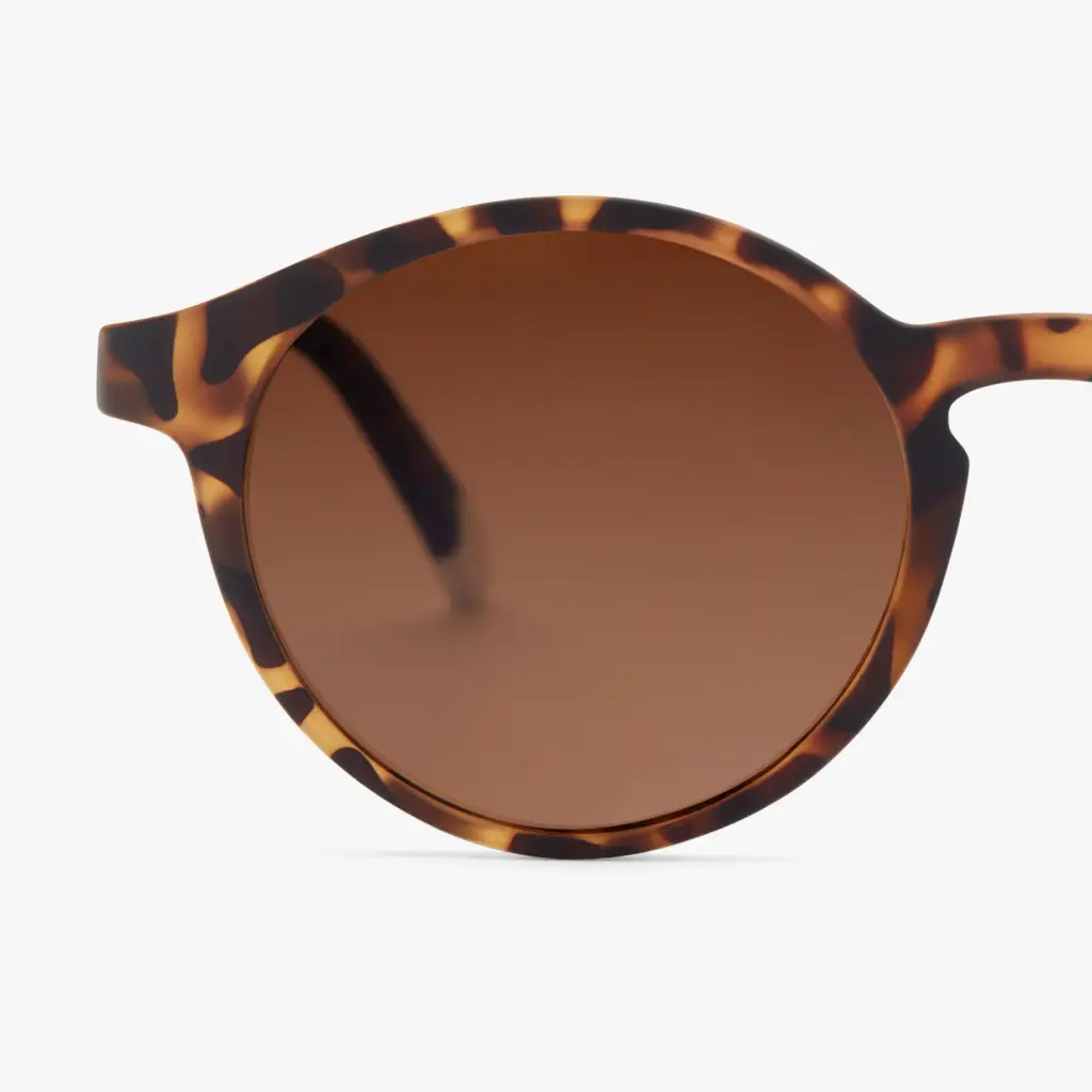 04-LeMarais-Tortoise-Frame_1_2048x.webp