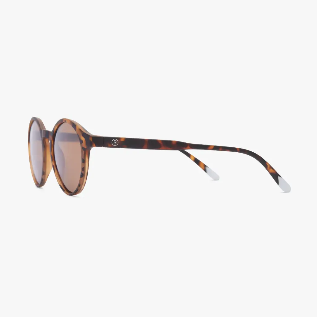 06-LeMarais-Tortoise-3.4_afb31caf-ad8c-4f40-8bd5-ed1fcf834c7a_2048x.webp
