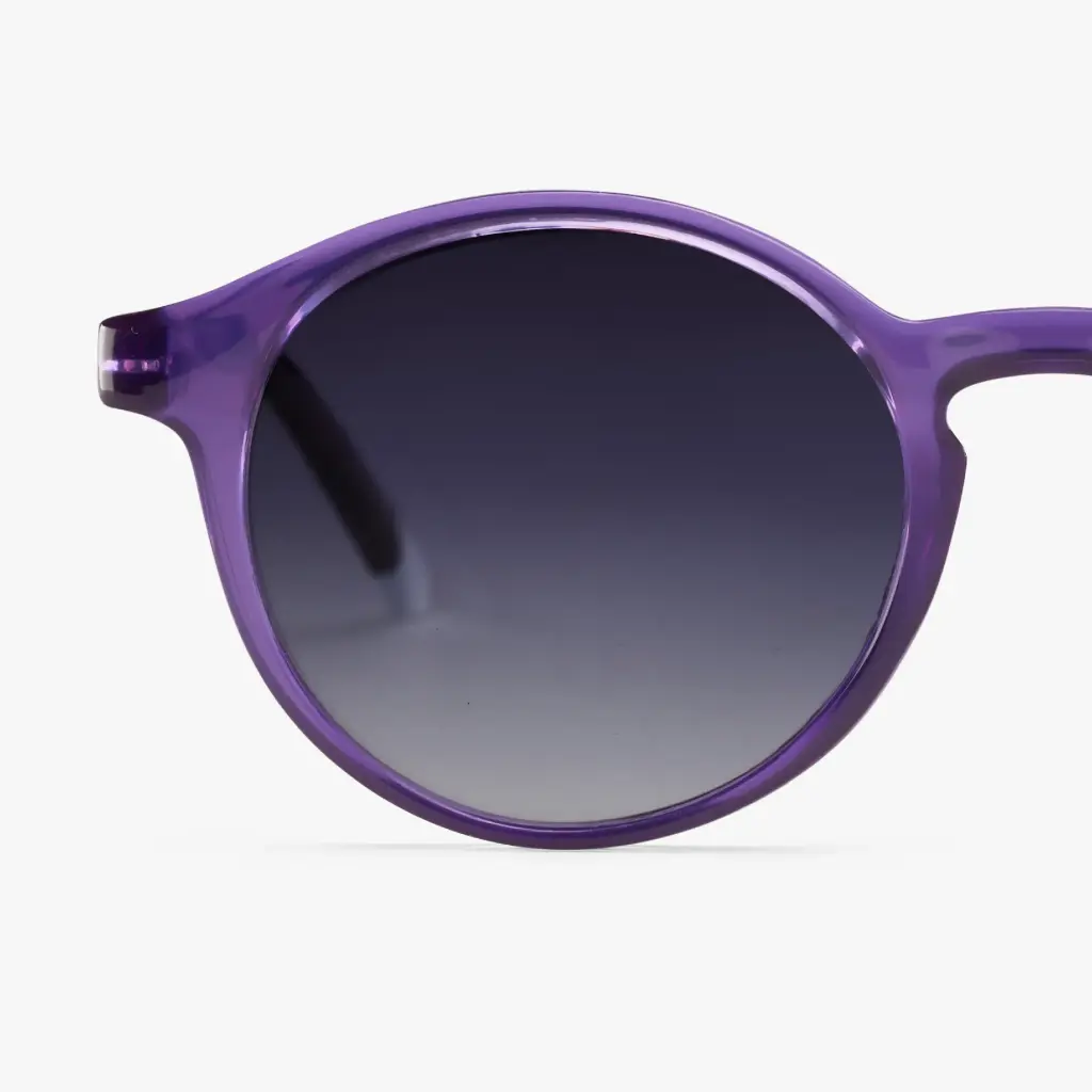 04-LeMaraisSun-Plum-Frame_2048x.webp