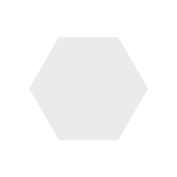 SHAPE: HEXAGON