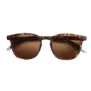 DALSTON GLOSSY TORTOISE SUN 